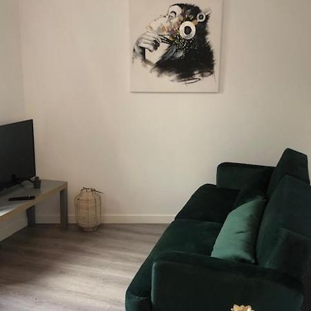 생테티엔 Un Coin De Verdure Dans Le Centre De St Etienne 아파트 외부 사진